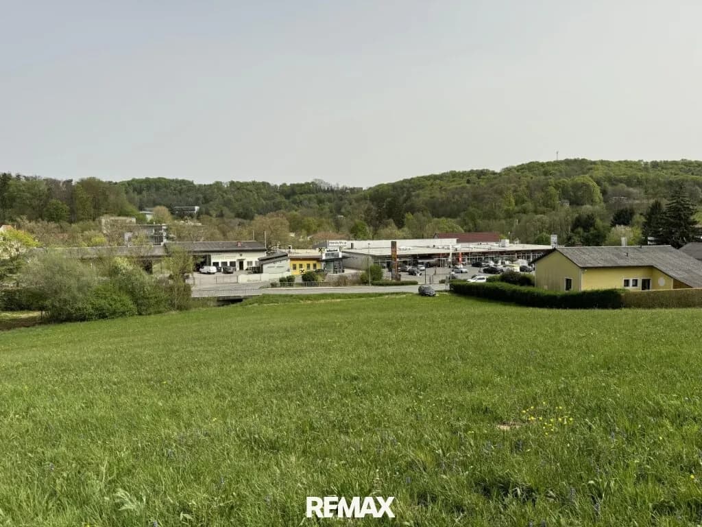 Grundstück kaufen in Südoststeiermark – 9 385 m², € 342.000 – Bild 7 von 13