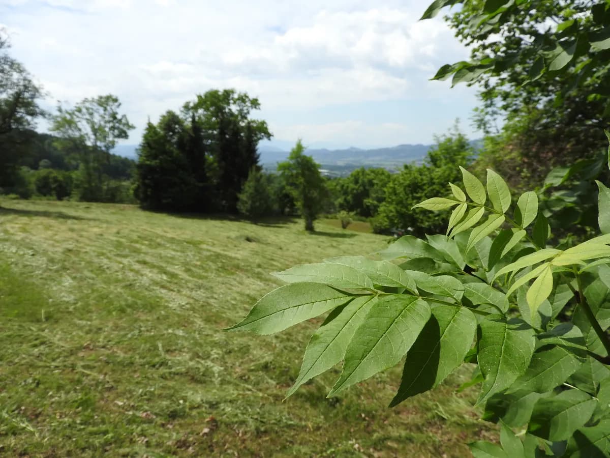 Grundstück kaufen in Wolfsberg – 768 m²