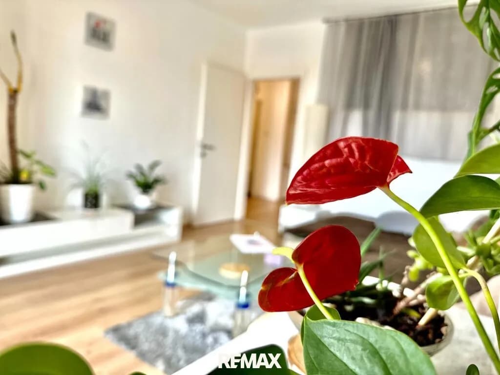 2-Zimmer-Wohnung kaufen in Graz – 51 m², € 155.000 – Bild 6 von 31