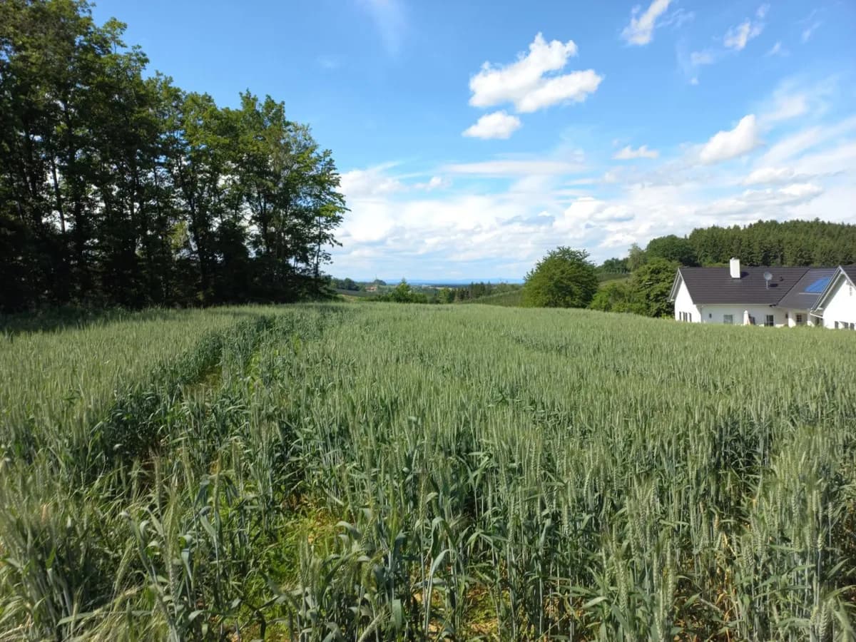 Grundstück kaufen in Güssing – 14 756 m², € 169.000