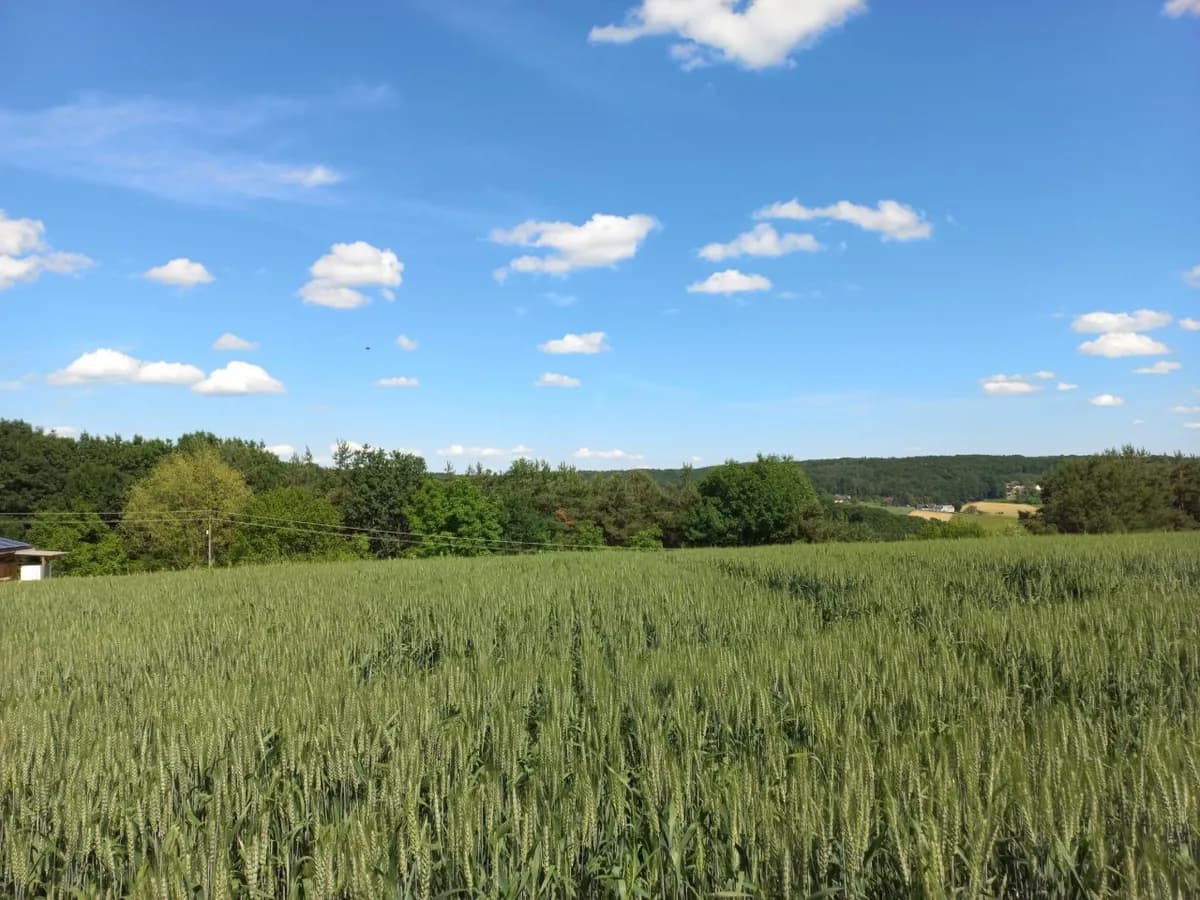 Grundstück kaufen in Güssing – 14 756 m², € 169.000 – Bild 2 von 5
