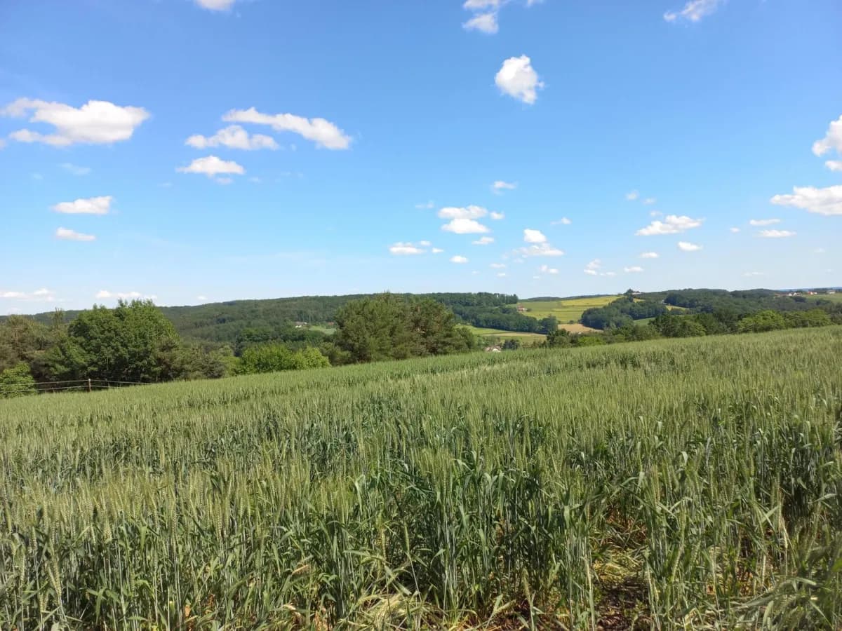 Grundstück kaufen in Güssing – 14 756 m², € 169.000 – Bild 3 von 5
