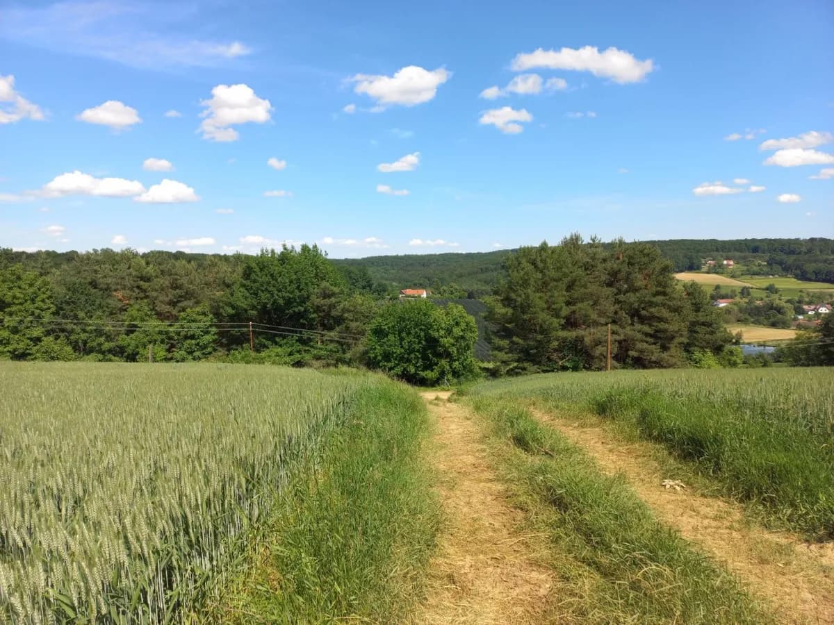 Grundstück kaufen in Güssing – 14 756 m², € 169.000 – Bild 4 von 5