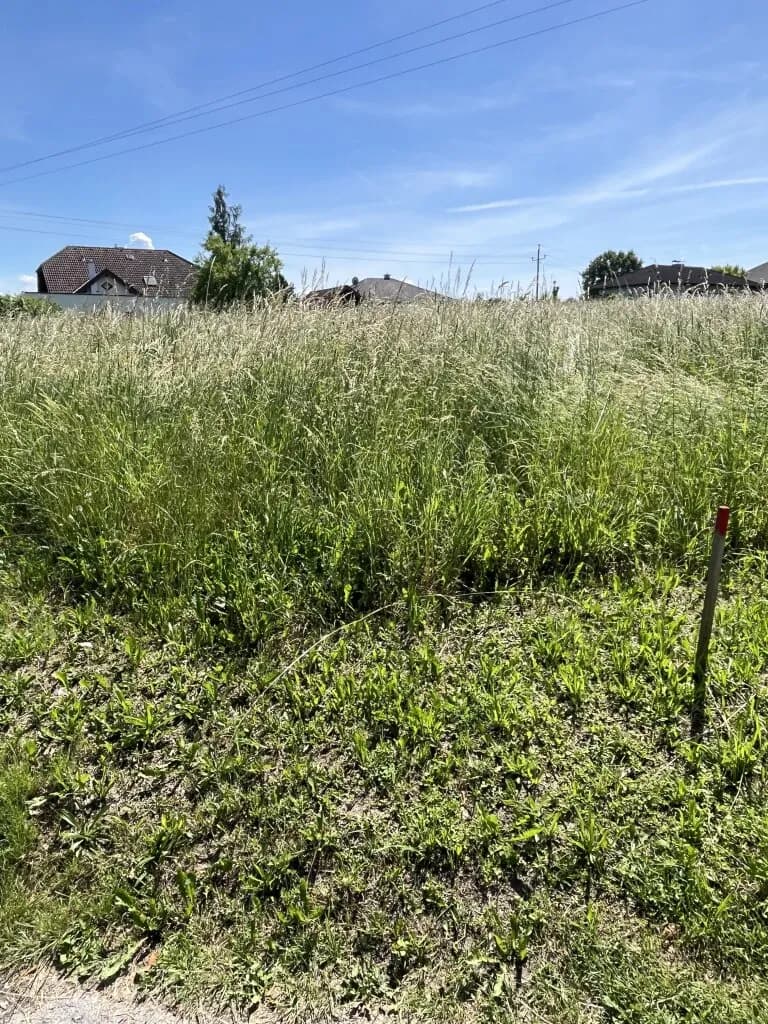 Grundstück kaufen in Linz Land – 509 m², € 183.240 – Bild 4 von 5