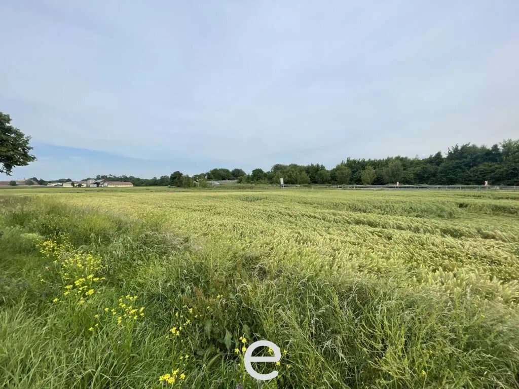 Immobilie kaufen in Melk – 23 115 m², € 1.964.775 – Bild 10 von 14