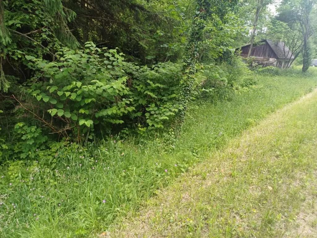 3-Zimmer-Haus kaufen in Deutschlandsberg – 69 m², € 89.000 – Bild 6 von 11