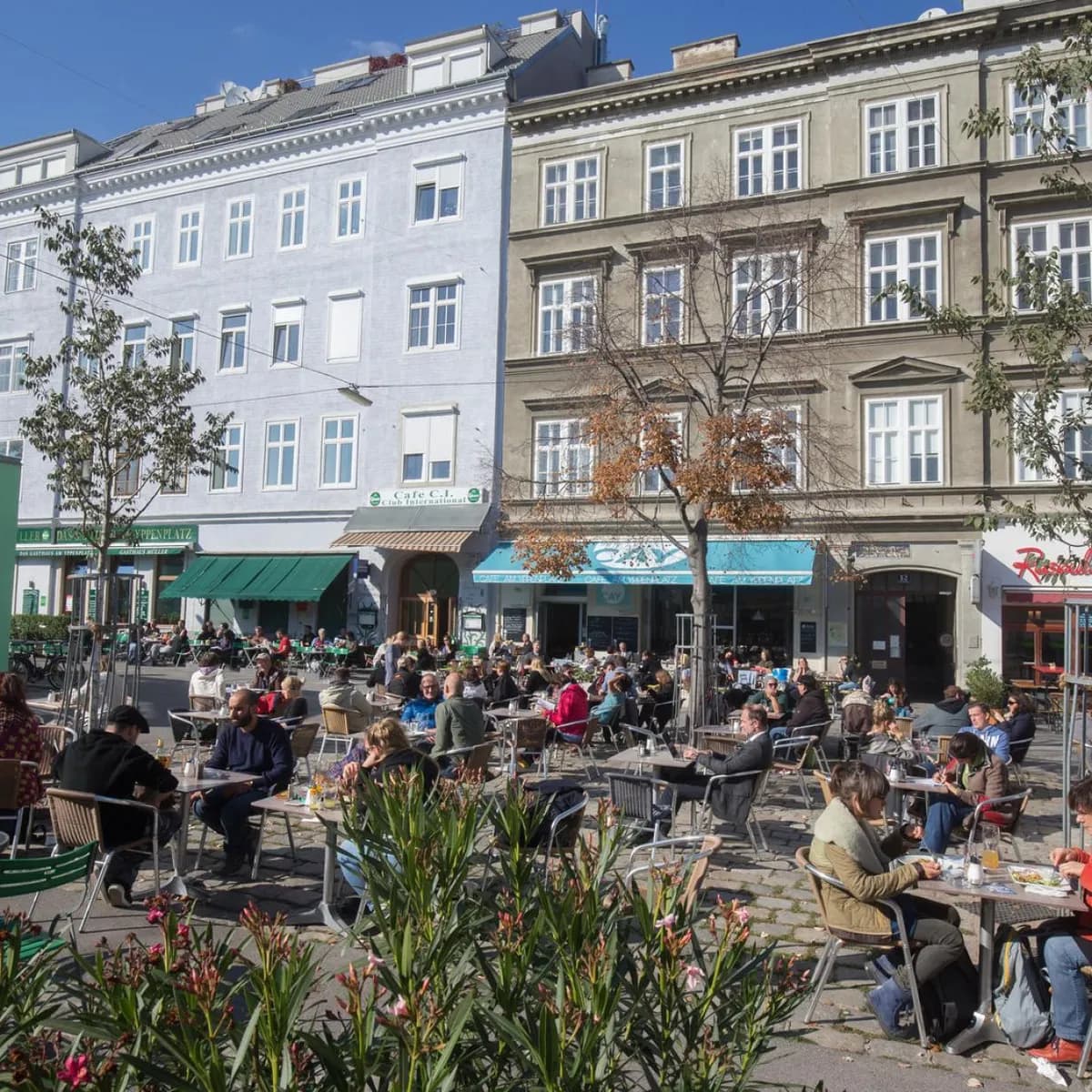 1-Zimmer-Wohnung mieten in Wien – 39 m², € 940 – Bild 9 von 10