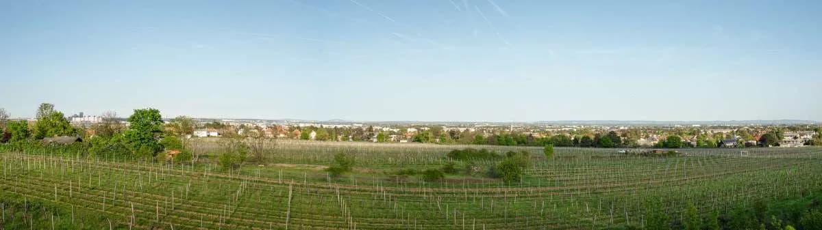 Haus kaufen in Mödling – 921 m², € 3.700.000 – Bild 10 von 10