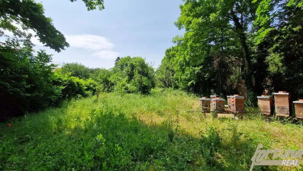 Grundstück kaufen in Mödling – 3 029 m², € 799.000 – Bild 3 von 10