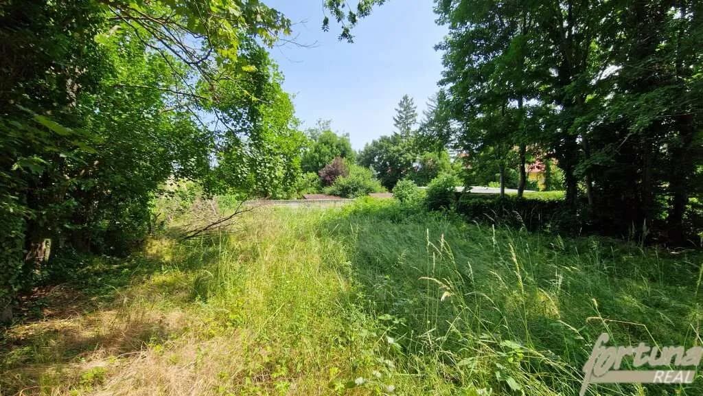 Grundstück kaufen in Mödling – 3 029 m², € 799.000 – Bild 4 von 10