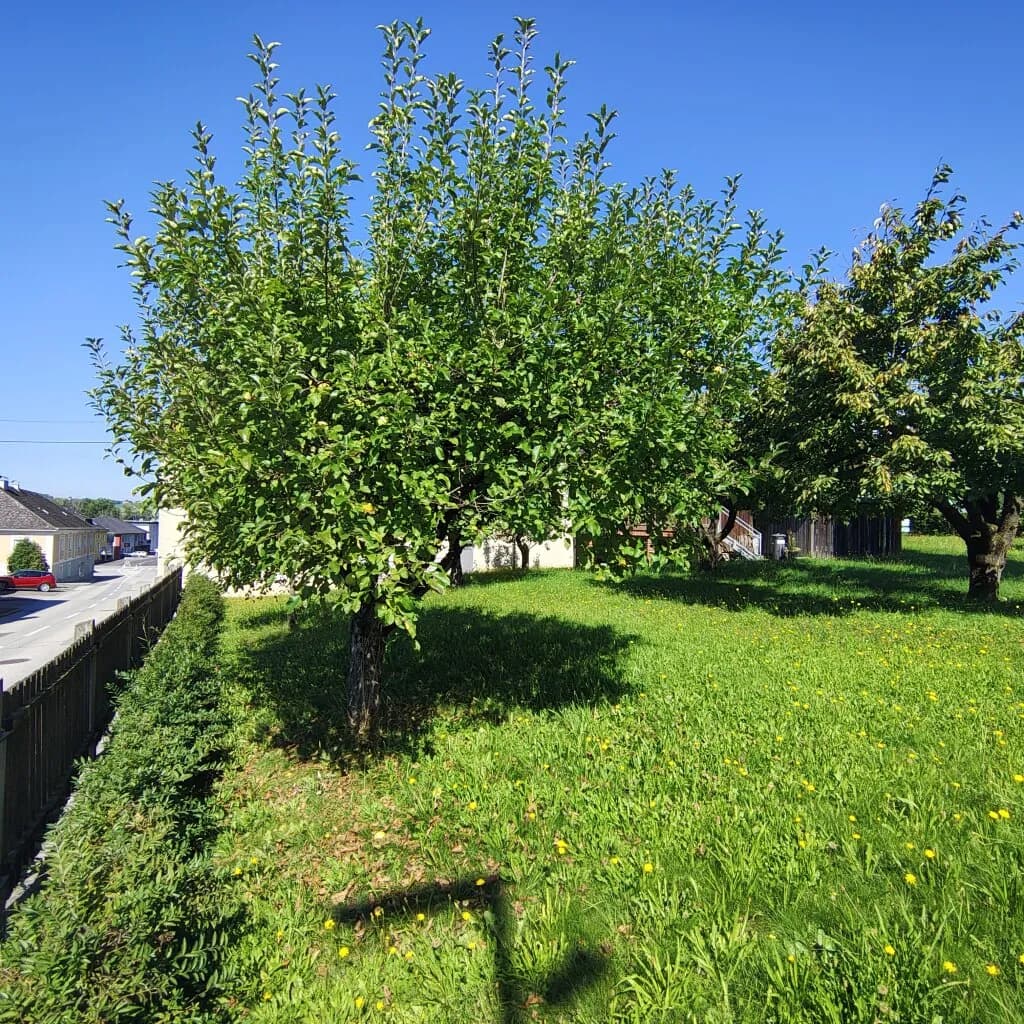 Haus kaufen in Perg – 150 m², € 274.980 – Bild 26 von 47