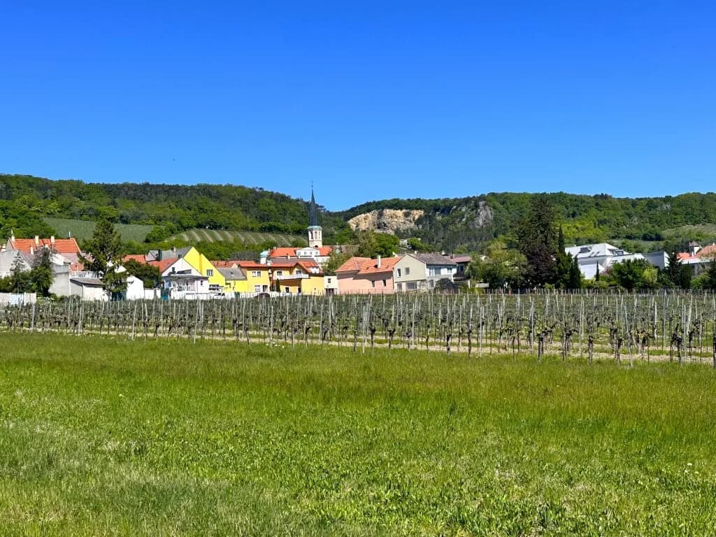 2-Zimmer-Haus kaufen in Mödling – 98 m², € 541.000 – Bild 29 von 32