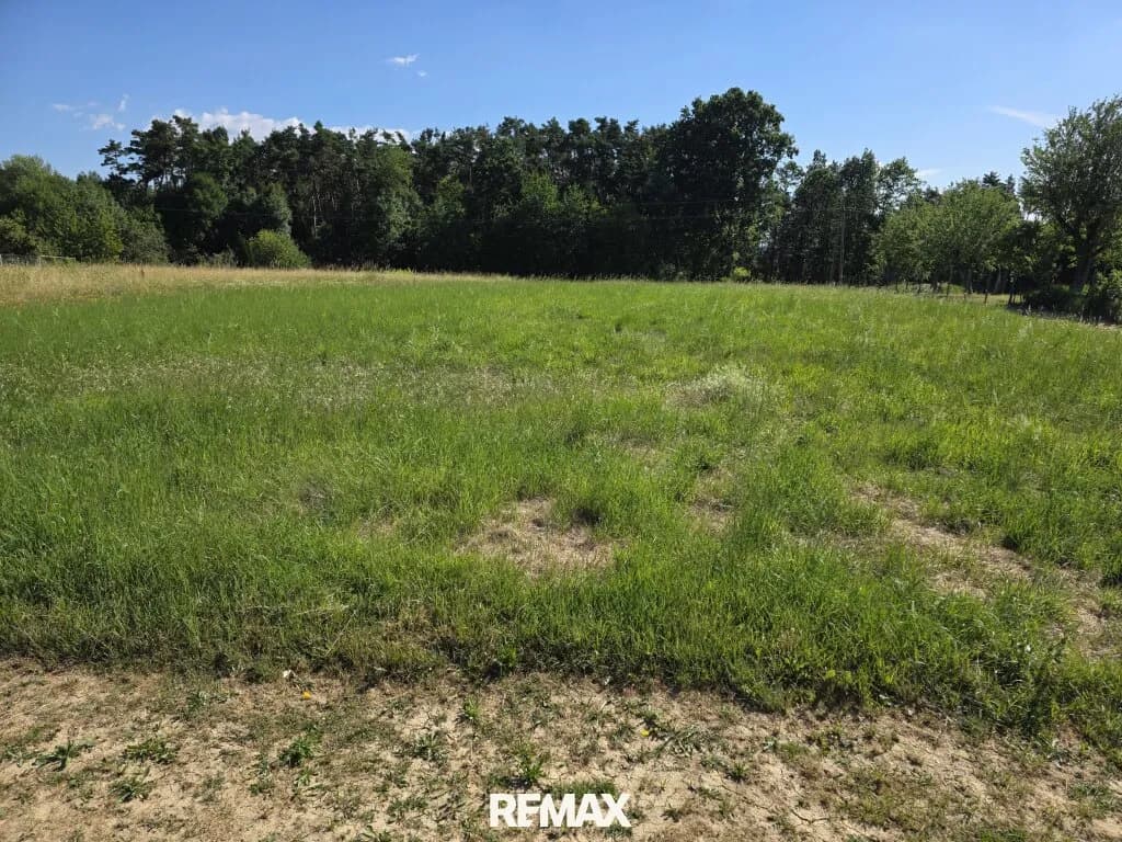 Grundstück kaufen in Güssing – 2 500 m², € 60.000 – Bild 2 von 7