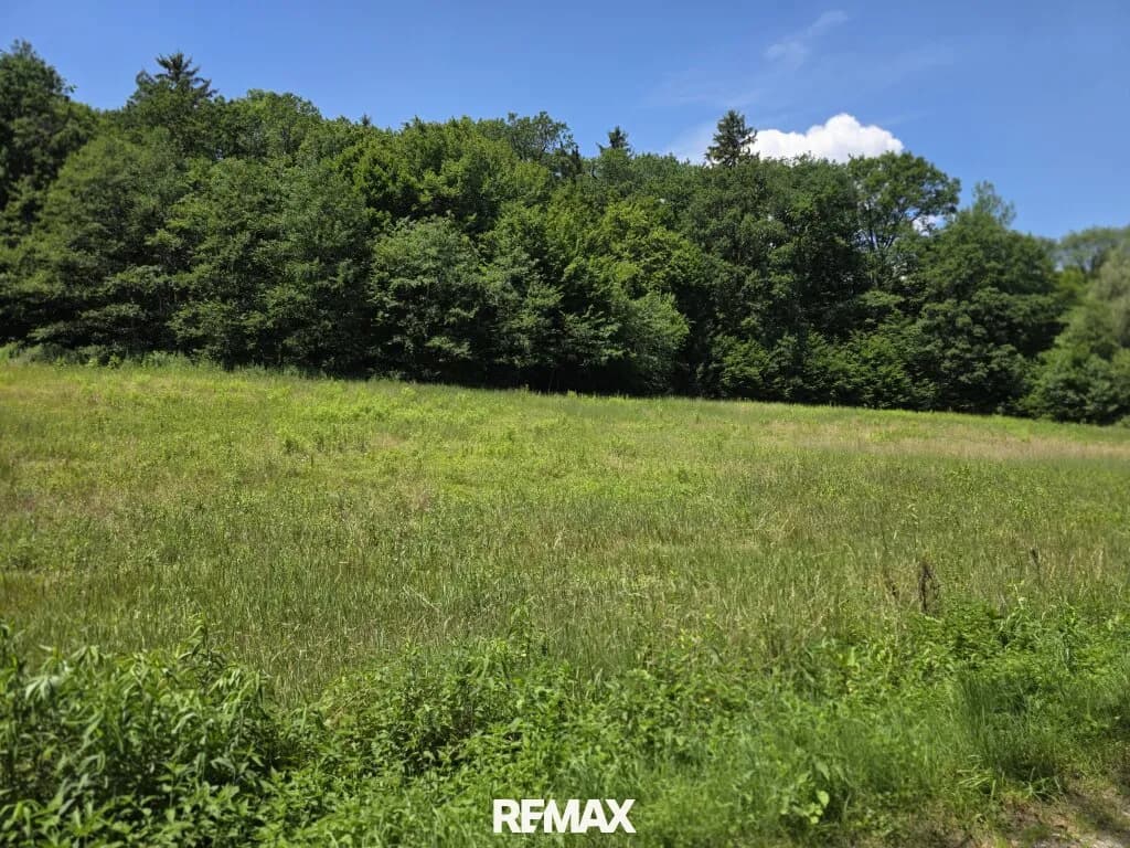 Grundstück kaufen in Güssing – 6 785 m², € 19.500 – Bild 3 von 7