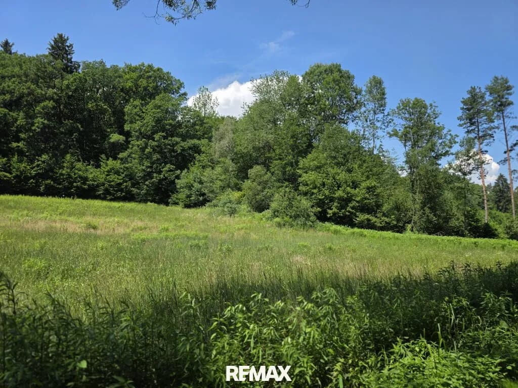 Grundstück kaufen in Güssing – 6 785 m², € 19.500 – Bild 5 von 7