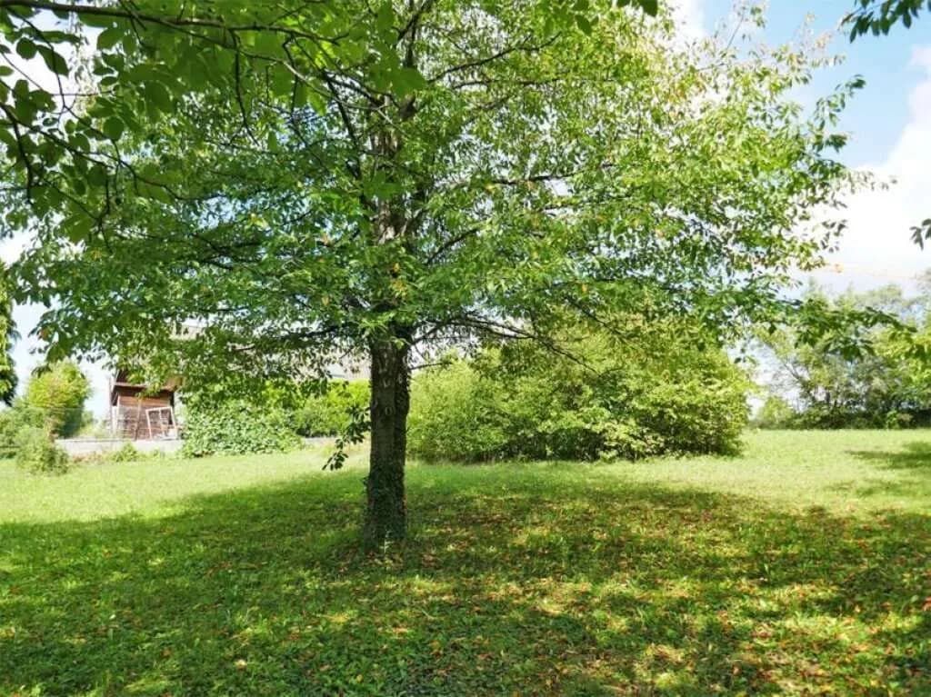Grundstück kaufen in Tulln – 614 m², € 220.000 – Bild 6 von 8
