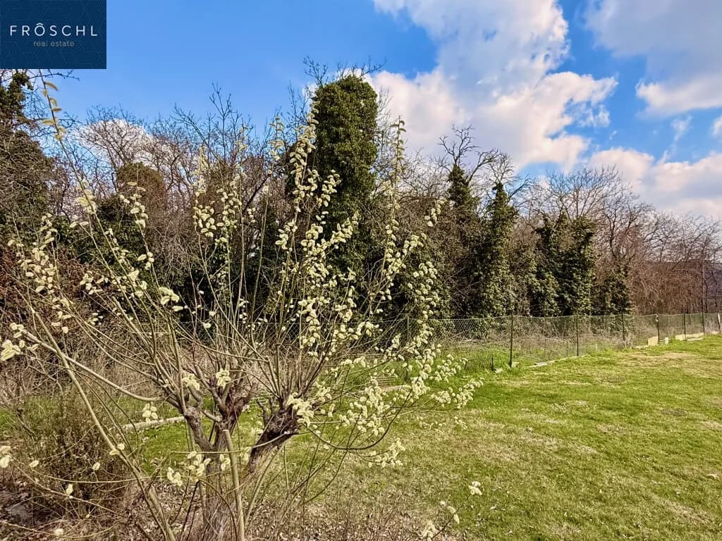 Grundstück kaufen in Horn – 1 329 m², € 86.000