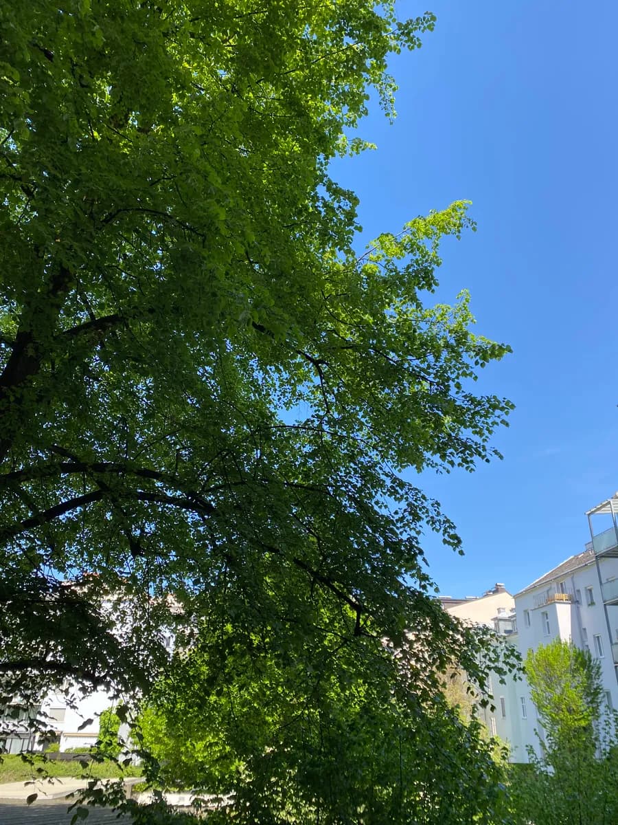 3-Zimmer-Wohnung mieten in Linz – 87 m², € 990 – Bild 6 von 29