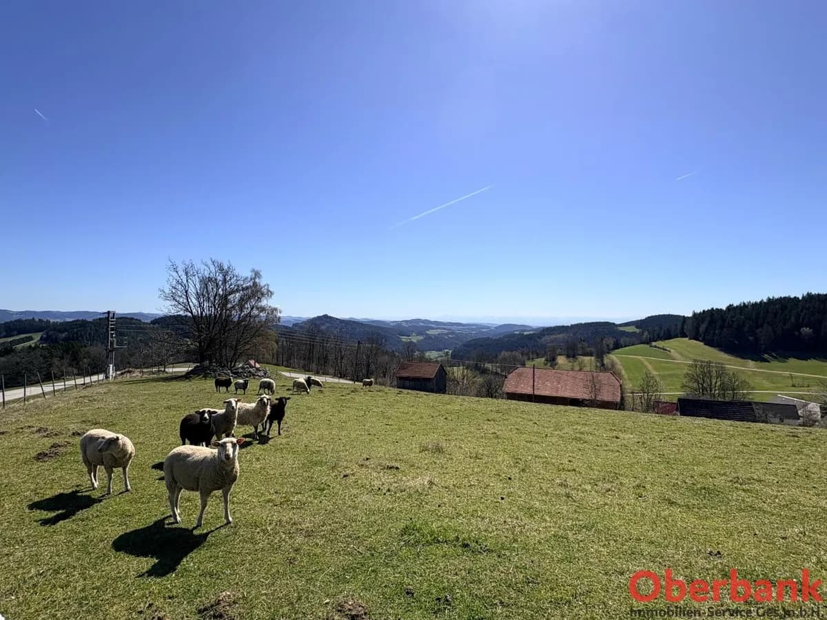 6-Zimmer-Immobilie kaufen in Freistadt – 145 m², € 449.000 – Bild 12 von 18