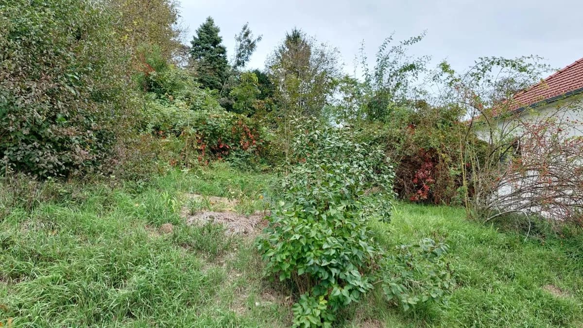 Grundstück kaufen in Melk – 1 219 m², € 75.000 – Bild 5 von 12