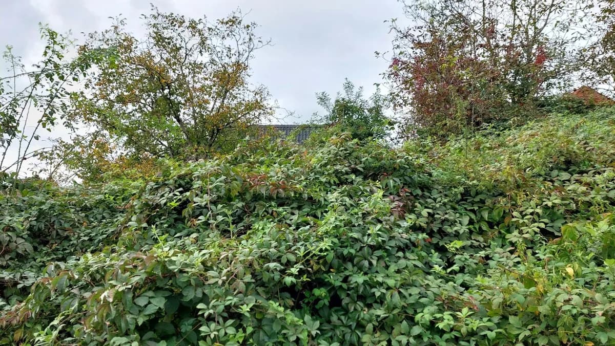 Grundstück kaufen in Melk – 1 219 m², € 75.000 – Bild 10 von 12
