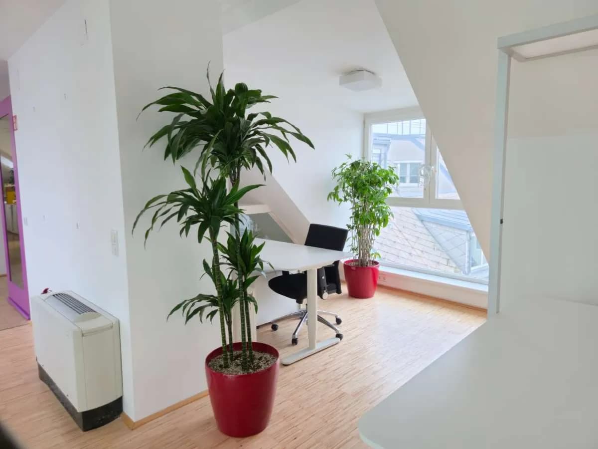 Gewerbeimmobilie mieten in Wien – 350 m², € 7.735 – Bild 3 von 12