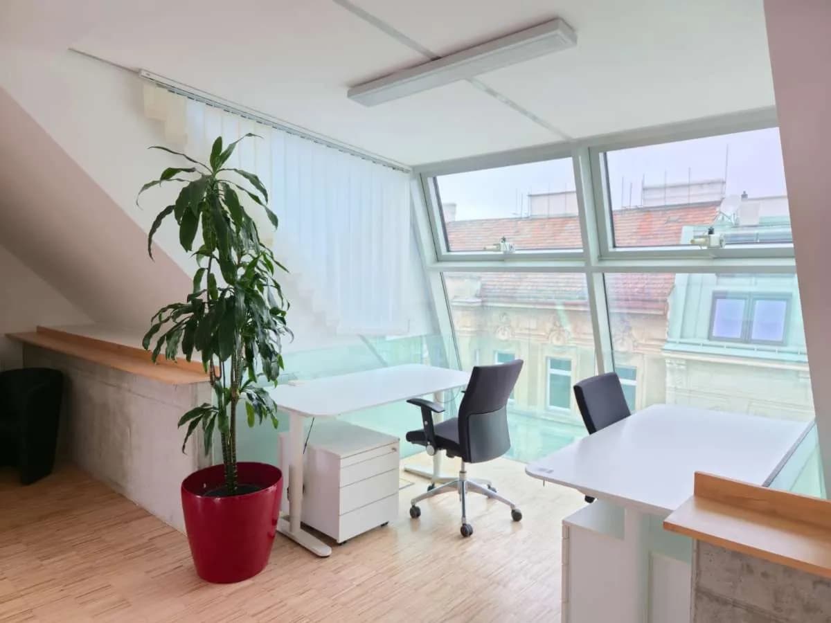 Gewerbeimmobilie mieten in Wien – 350 m², € 7.735 – Bild 4 von 12