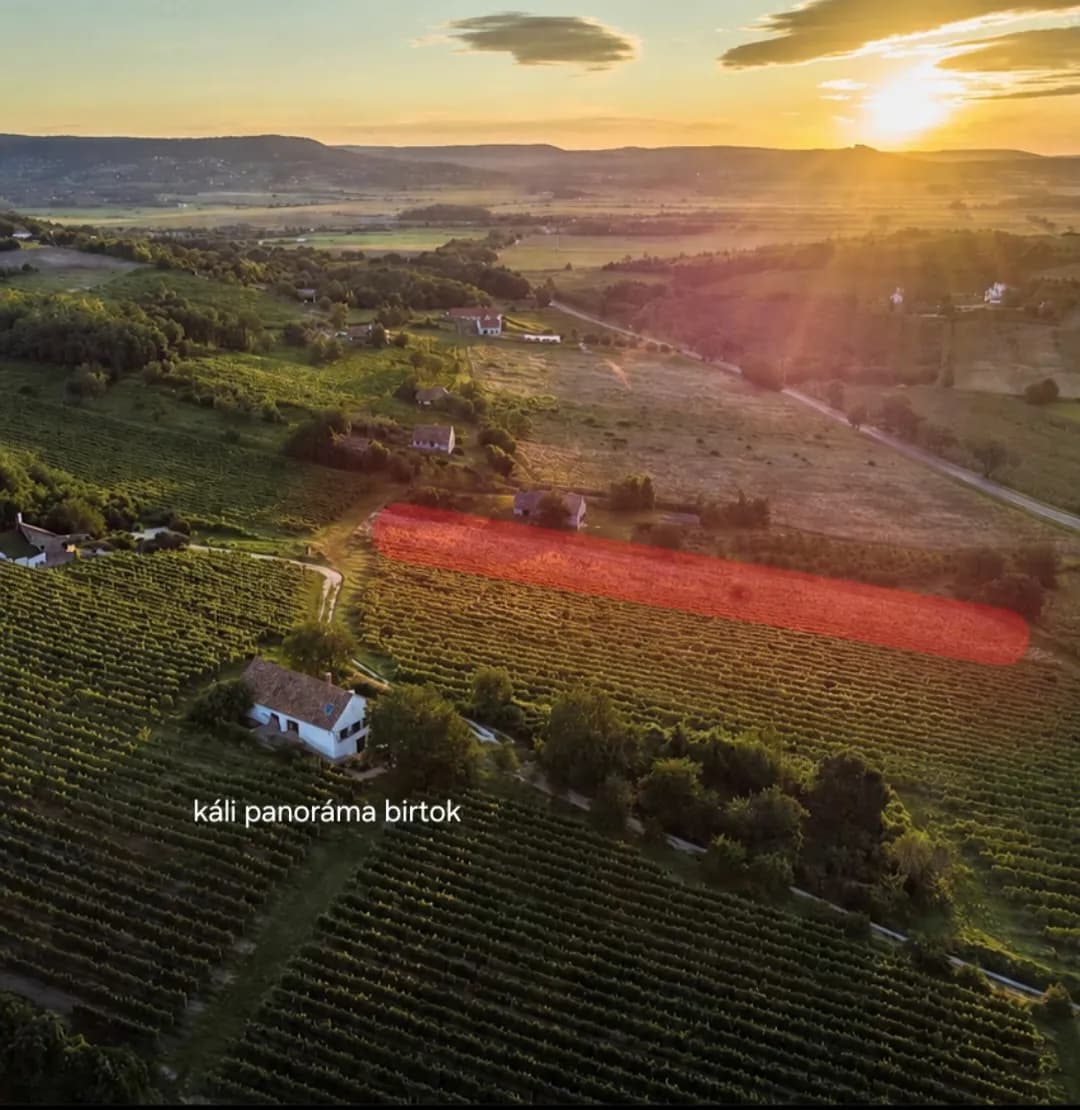 Grundstück kaufen in Österreich – 5 127 m², € 36.000