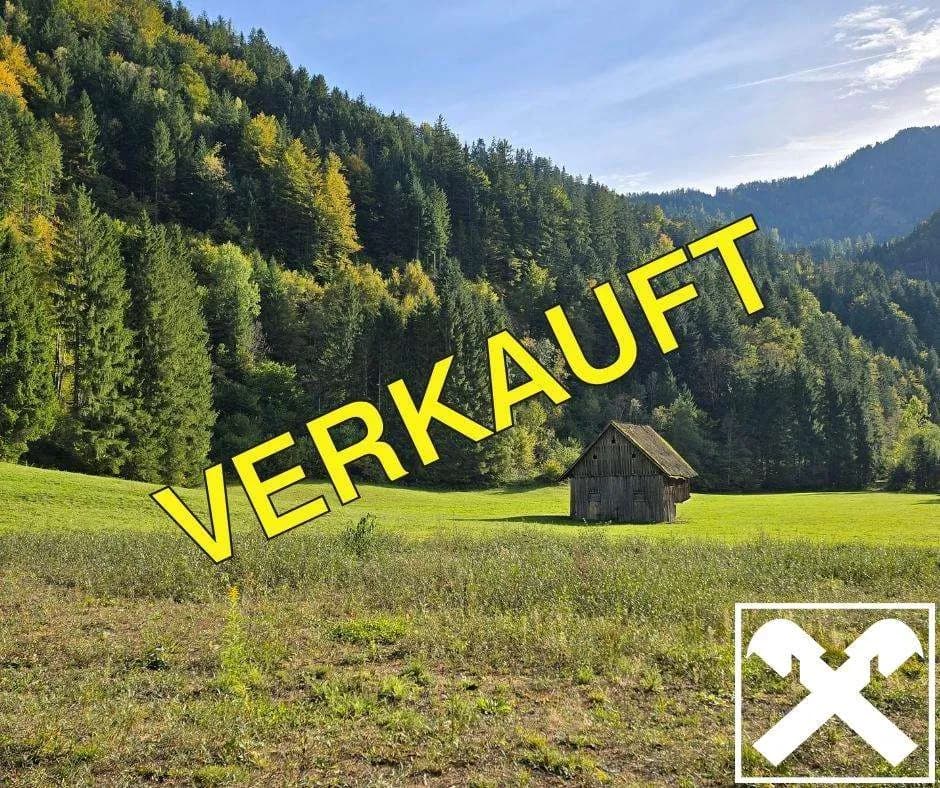 Grundstück kaufen in Völkermarkt – 33 283 m²