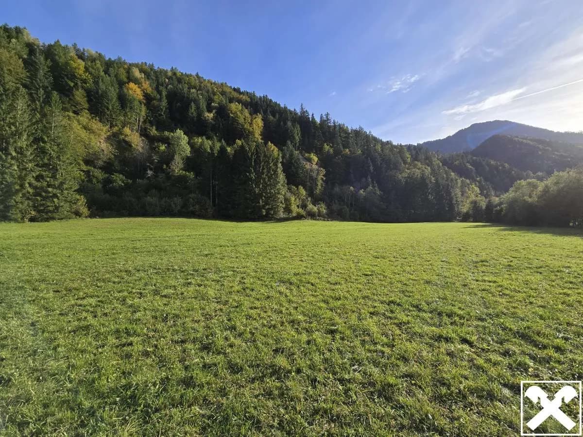 Grundstück kaufen in Völkermarkt – 33 283 m² – Bild 6 von 8