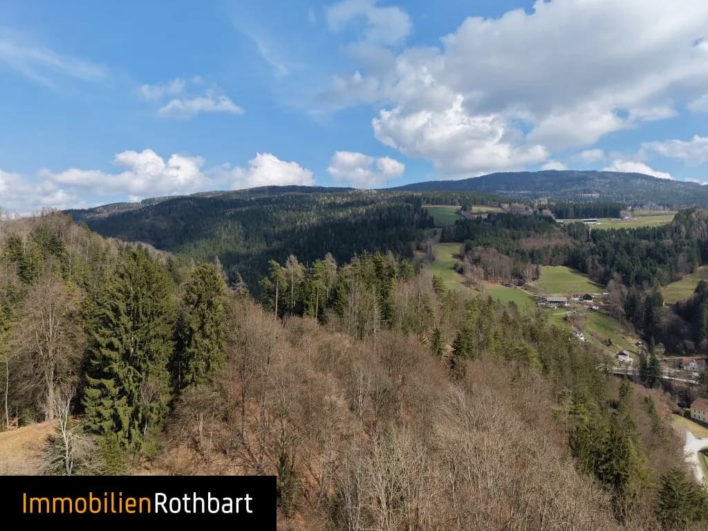 Grundstück kaufen in Weiz – 190 000 m², € 390.000 – Bild 7 von 20