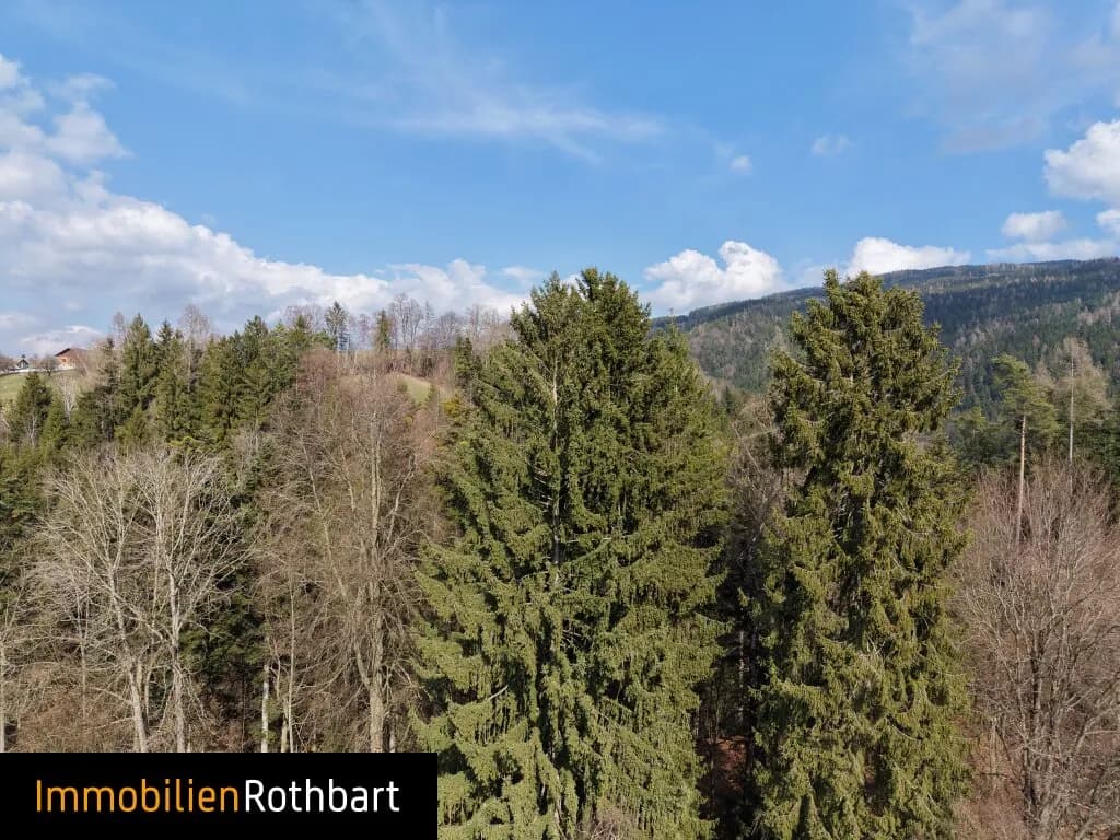 Grundstück kaufen in Weiz – 190 000 m², € 390.000 – Bild 10 von 20