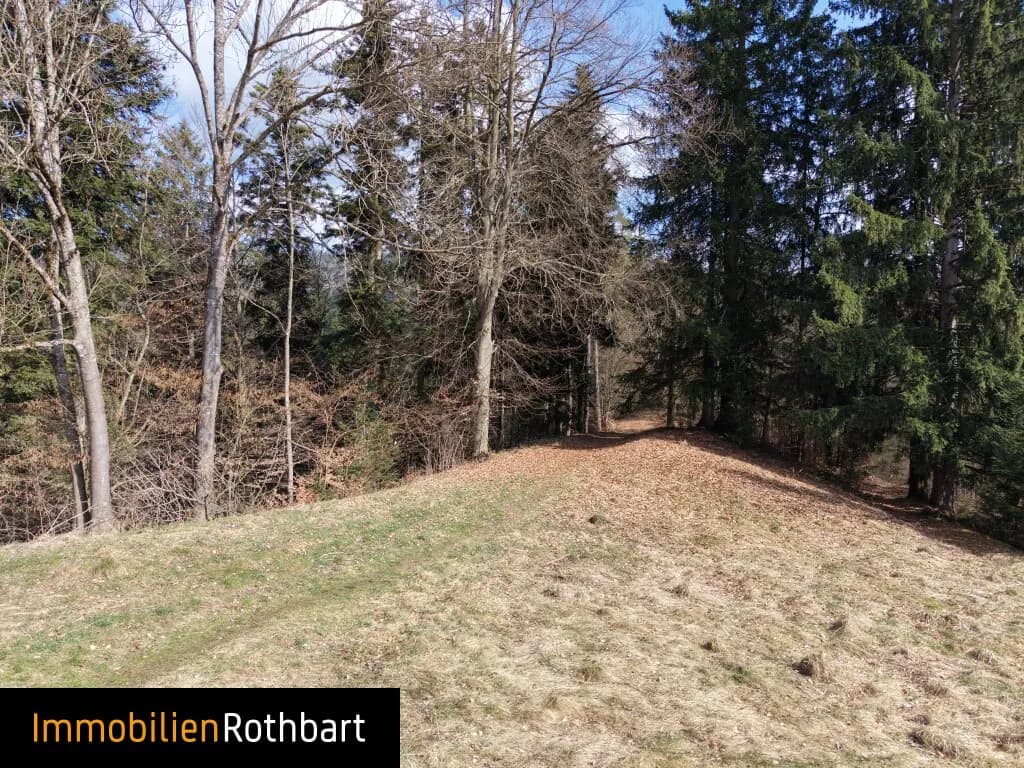 Grundstück kaufen in Weiz – 190 000 m², € 390.000 – Bild 11 von 20