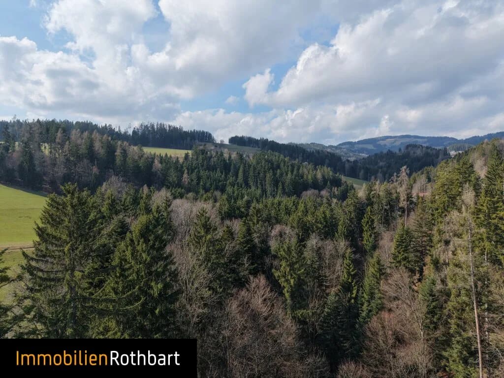 Grundstück kaufen in Weiz – 190 000 m², € 390.000 – Bild 14 von 20