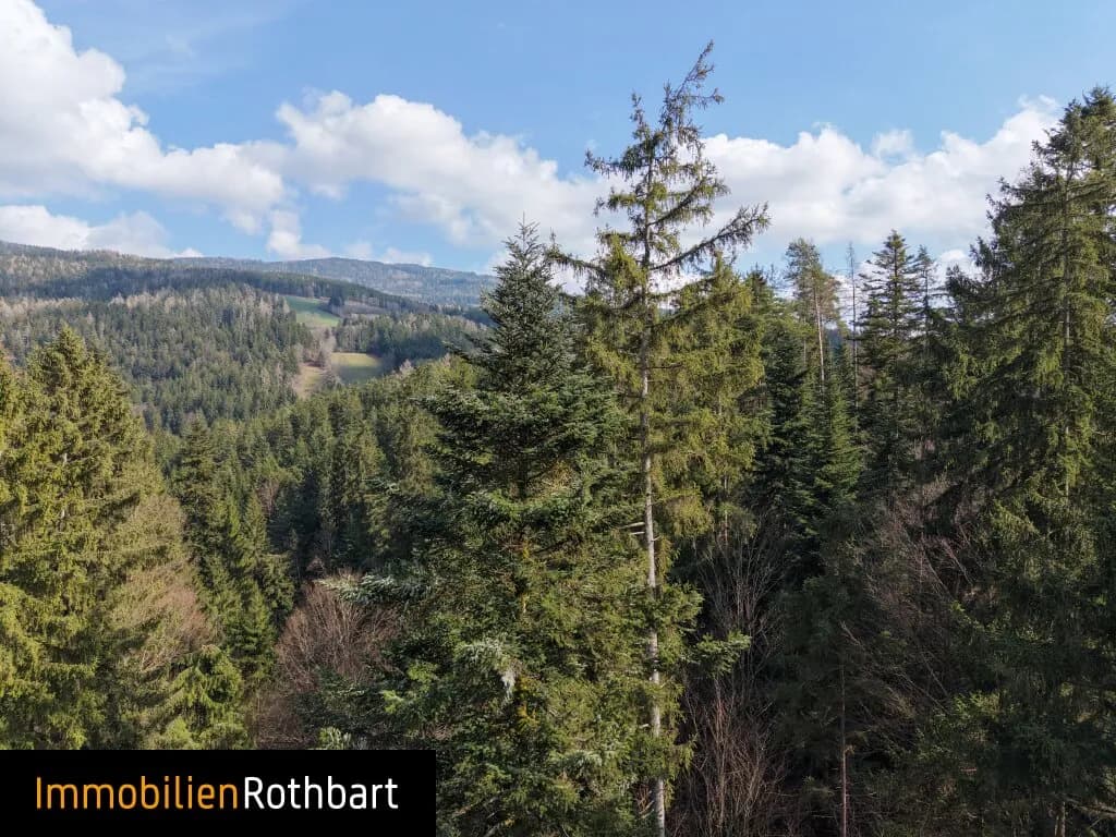 Grundstück kaufen in Weiz – 190 000 m², € 390.000 – Bild 15 von 20