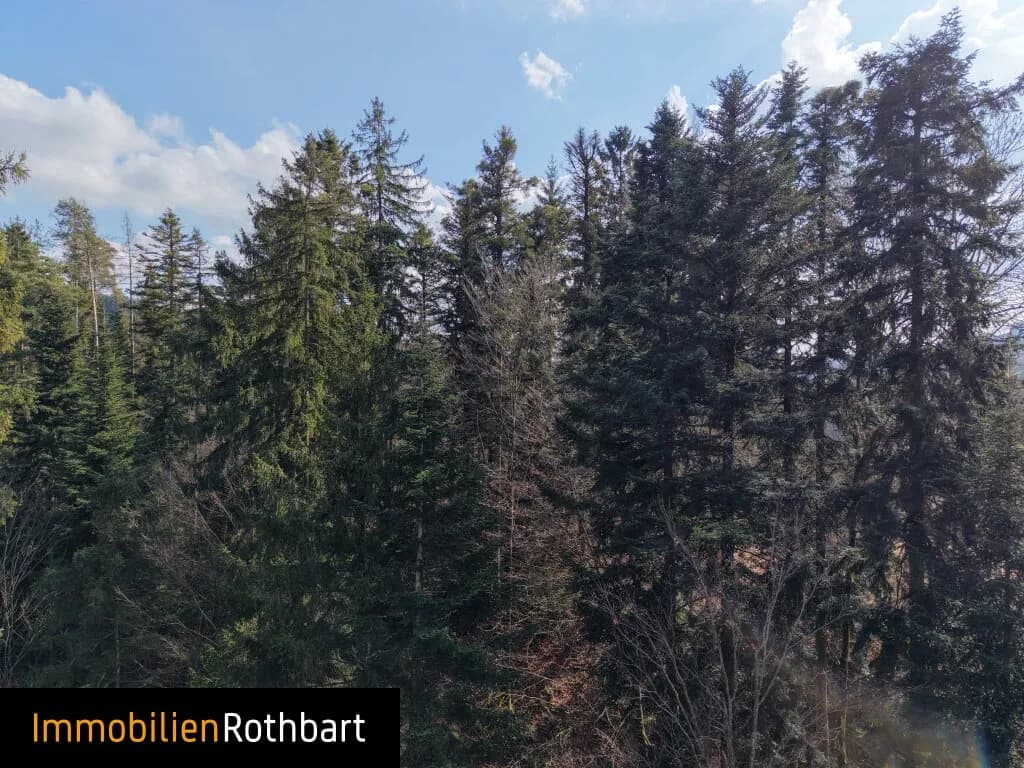 Grundstück kaufen in Weiz – 190 000 m², € 390.000 – Bild 16 von 20