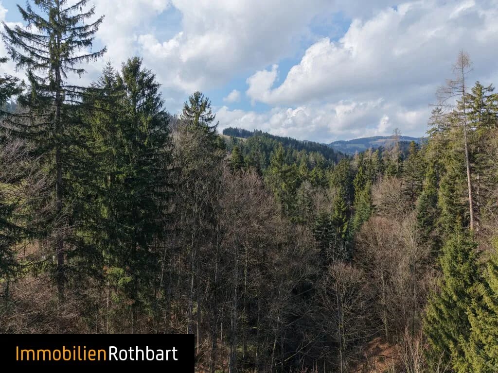 Grundstück kaufen in Weiz – 190 000 m², € 390.000 – Bild 17 von 20