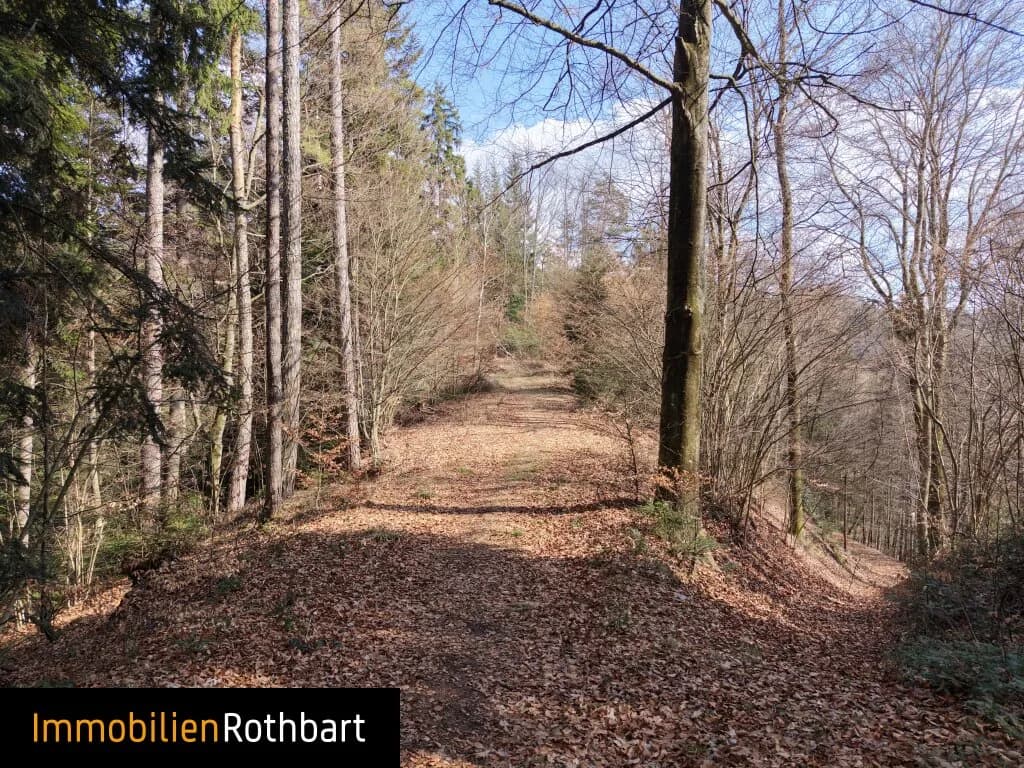 Grundstück kaufen in Weiz – 190 000 m², € 390.000 – Bild 18 von 20