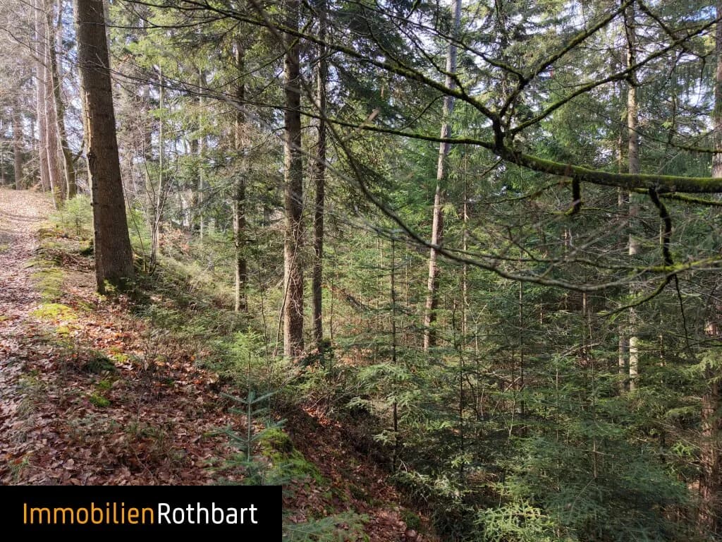 Grundstück kaufen in Weiz – 190 000 m², € 390.000 – Bild 19 von 20