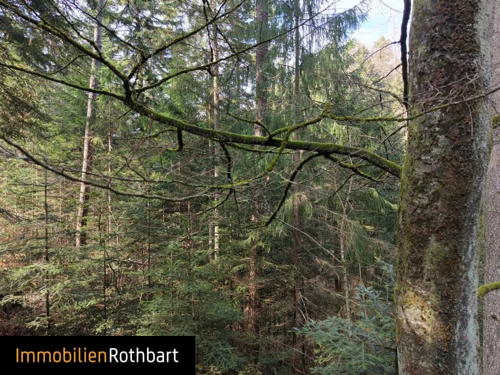 Grundstück kaufen in Weiz – 190 000 m², € 390.000 – Bild 20 von 20