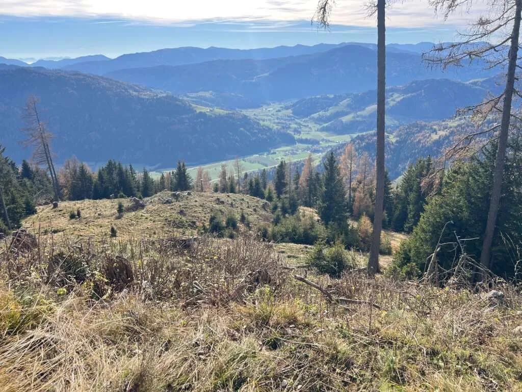Immobilie kaufen in Murau – 87 000 m², € 130.000 – Bild 2 von 6