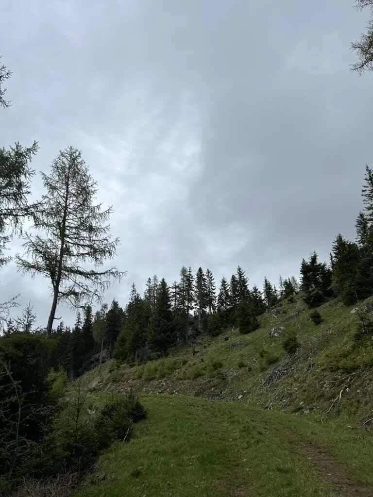 Immobilie kaufen in Murau – 87 000 m², € 130.000 – Bild 5 von 6