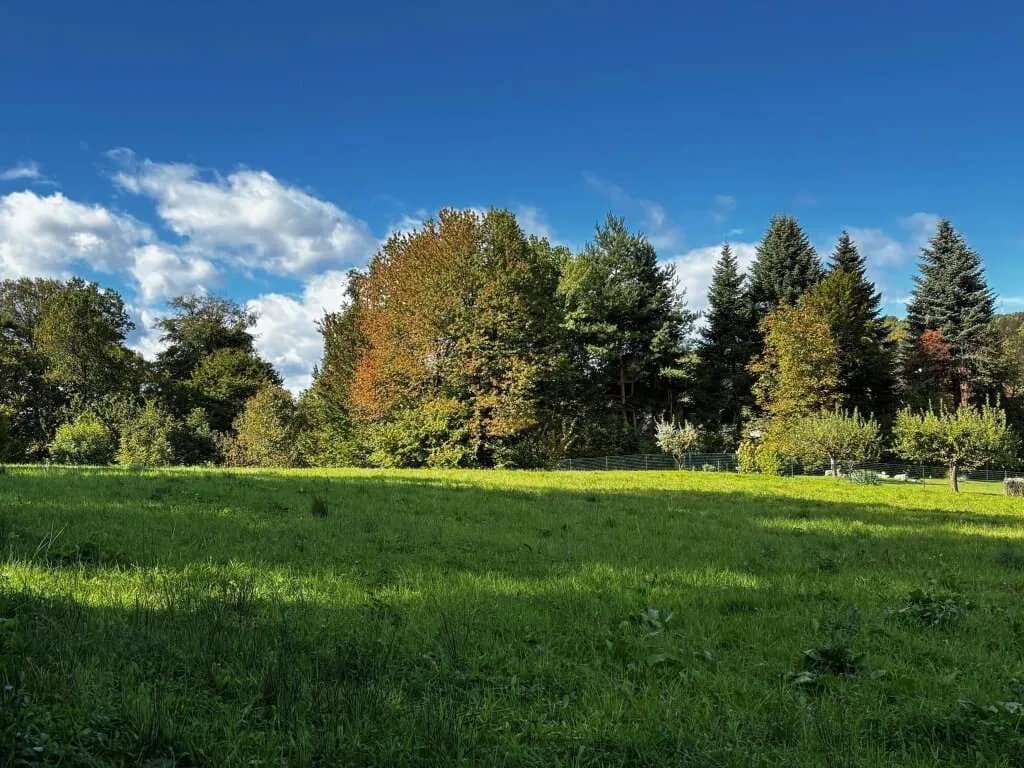 Grundstück kaufen in Südoststeiermark – 946 m², € 43.516 – Bild 2 von 7