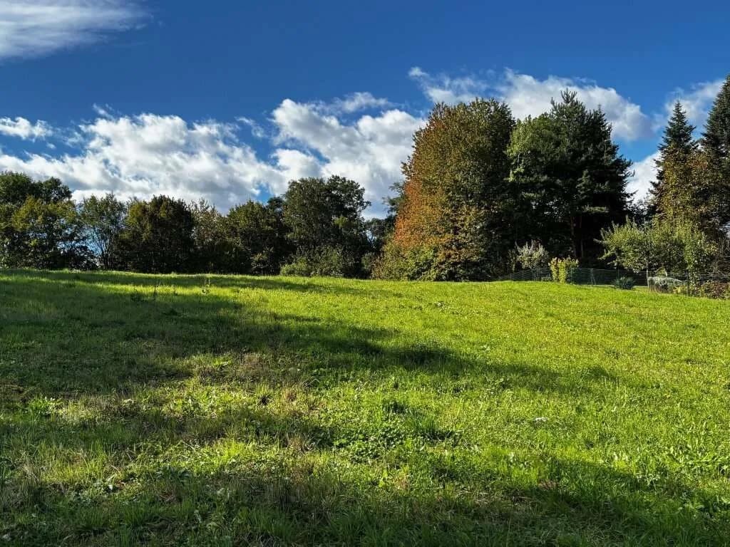 Grundstück kaufen in Südoststeiermark – 946 m², € 43.516 – Bild 3 von 7