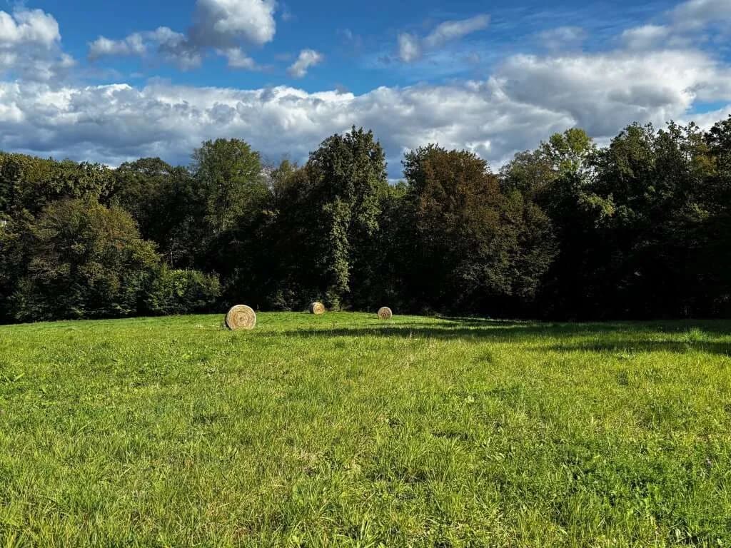 Grundstück kaufen in Südoststeiermark – 946 m², € 43.516 – Bild 4 von 7
