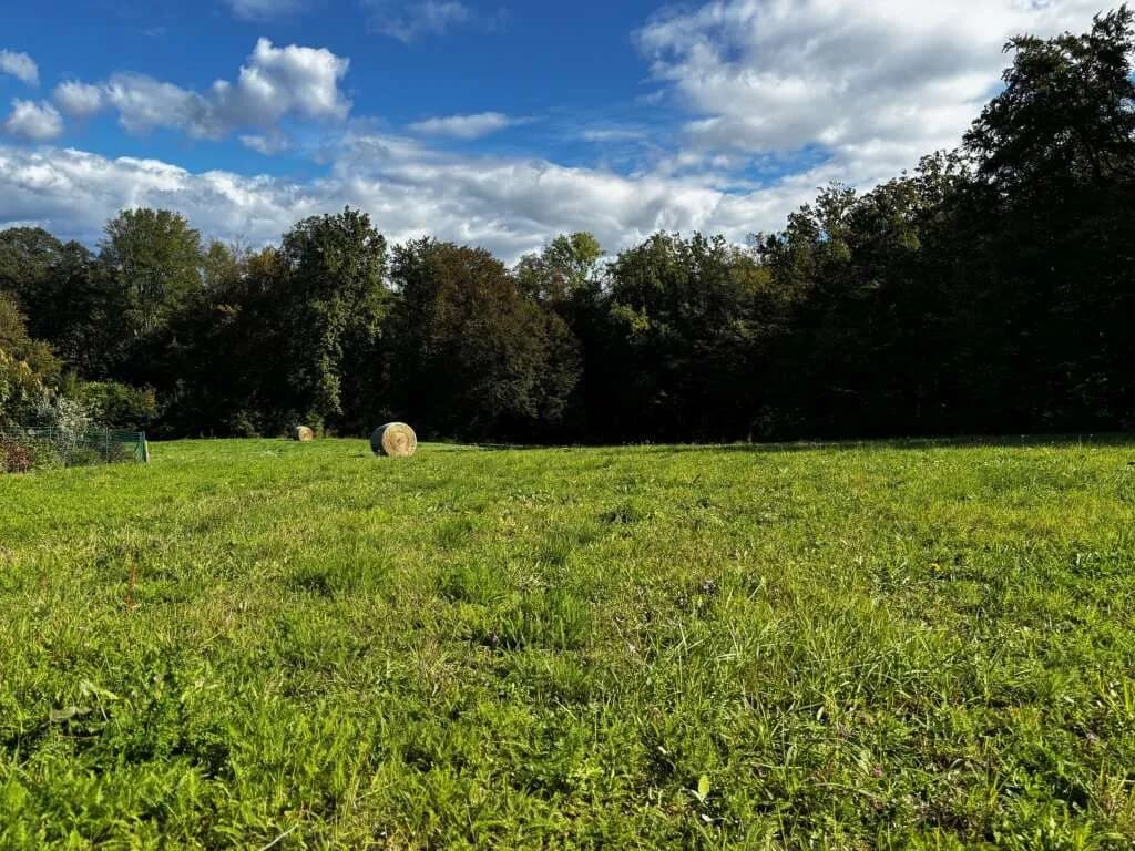 Grundstück kaufen in Südoststeiermark – 946 m², € 43.516 – Bild 5 von 7