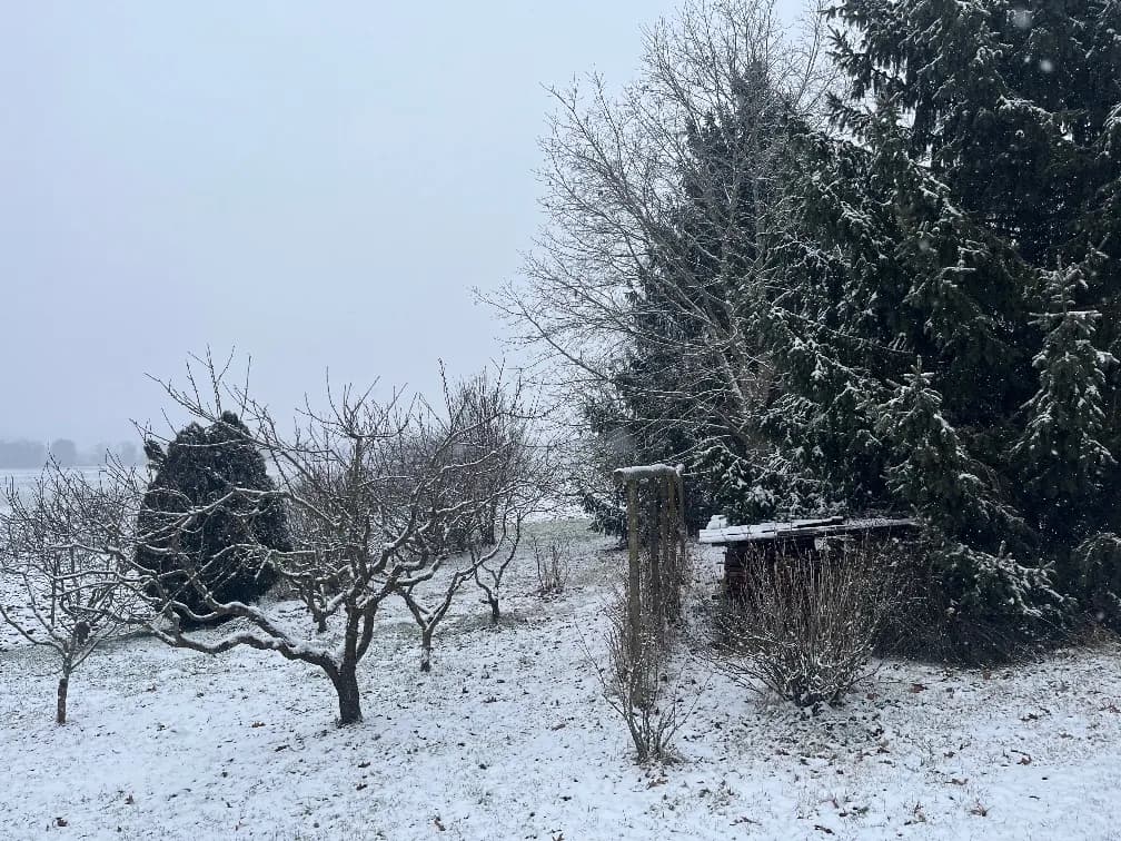 6-Zimmer-Haus kaufen in Südoststeiermark – 204 m², € 239.000 – Bild 24 von 24