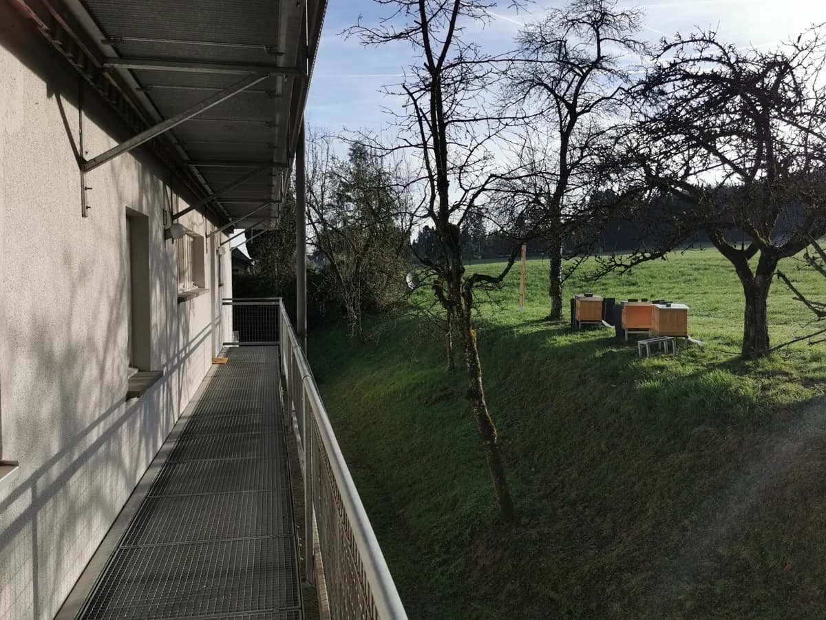 2-Zimmer-Wohnung mieten in Bregenz – 40,5 m², € 825 – Bild 7 von 11