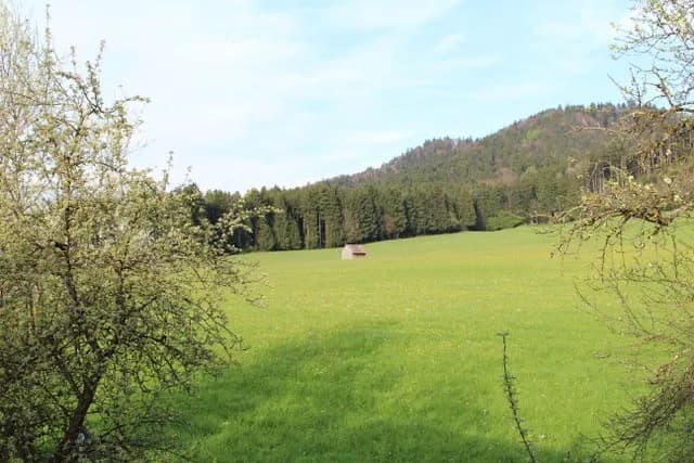 2-Zimmer-Wohnung mieten in Bregenz – 40,5 m², € 825 – Bild 9 von 11