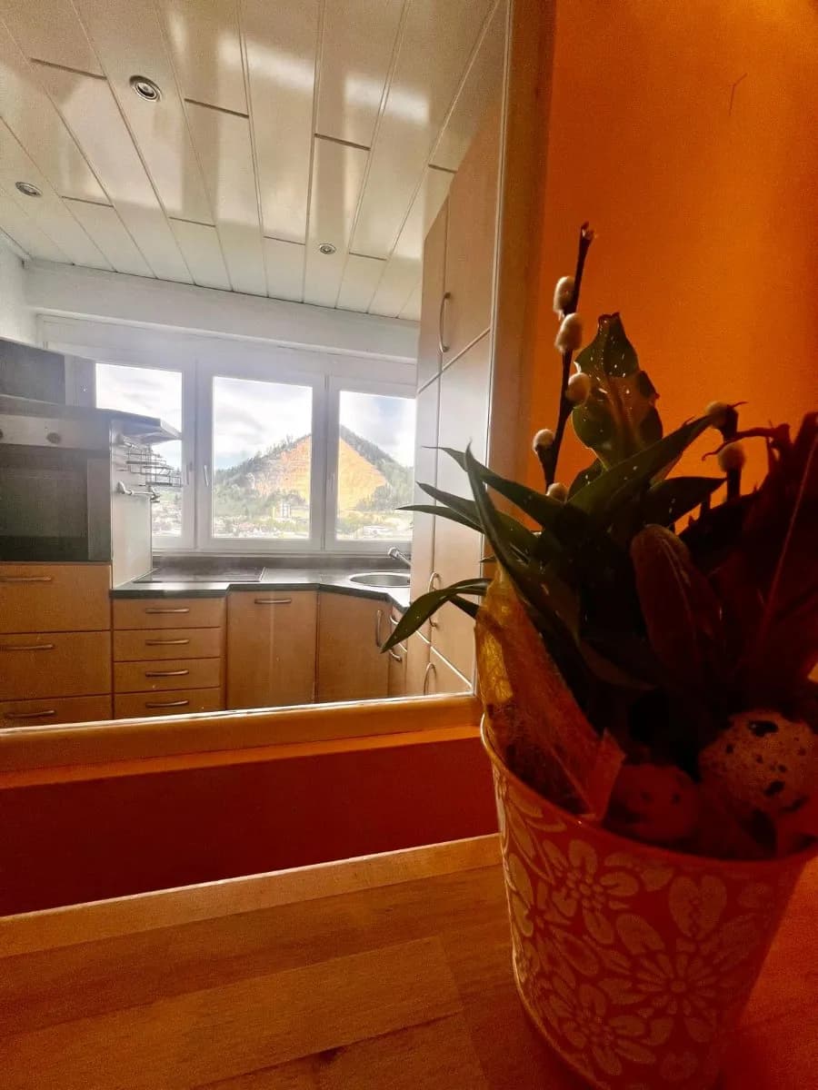 1-Zimmer-Wohnung mieten in Leoben – 38 m², € 699 – Bild 6 von 7